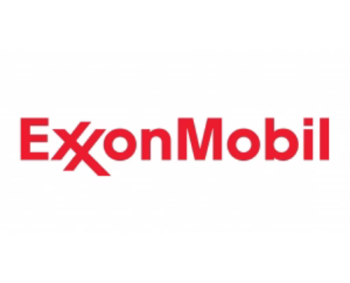 ExxonMobil tesisinde Mini Flanş Kaplaması FI14M